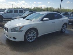 Nissan salvage cars for sale: 2009 Nissan Maxima S