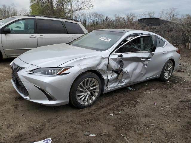 2019 Lexus ES 350