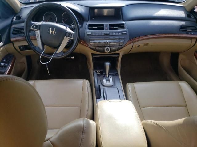 2011 Honda Accord EXL