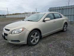 Chevrolet salvage cars for sale: 2009 Chevrolet Malibu Hybrid