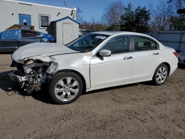 2008 Honda Accord EXL