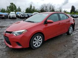 Toyota salvage cars for sale: 2014 Toyota Corolla L