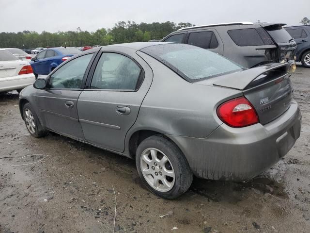 2005 Dodge Neon SXT