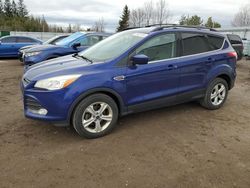 Ford salvage cars for sale: 2013 Ford Escape SE