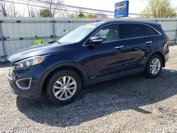 2017 KIA Sorento LX for sale in Walton, KY