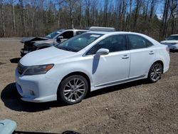 Lexus salvage cars for sale: 2010 Lexus HS 250H