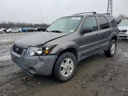 Vehiculos salvage en venta de Copart Windsor, NJ: 2005 Ford Escape XLT