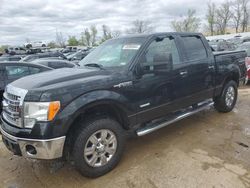 2013 Ford F150 Supercrew for sale in Bridgeton, MO