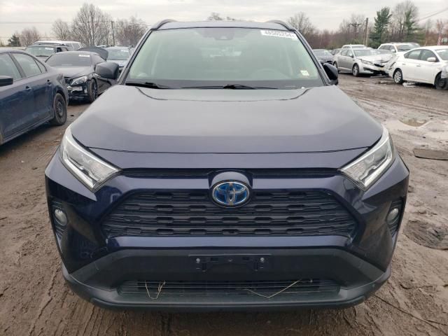 2019 Toyota Rav4 XLE