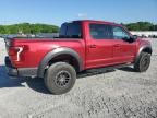 2019 Ford F150 Raptor