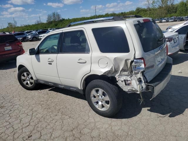 2011 Ford Escape Limited