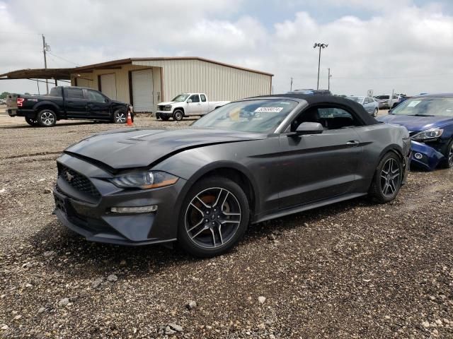 2019 Ford Mustang