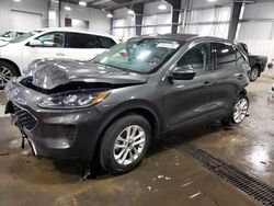 2020 Ford Escape SE for sale in Ham Lake, MN