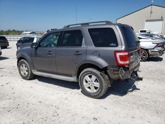 2011 Ford Escape XLT