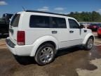 2011 Dodge Nitro Heat