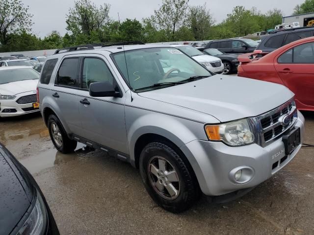 2010 Ford Escape XLT