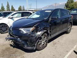 Salvage cars for sale from Copart Rancho Cucamonga, CA: 2018 Toyota Rav4 LE
