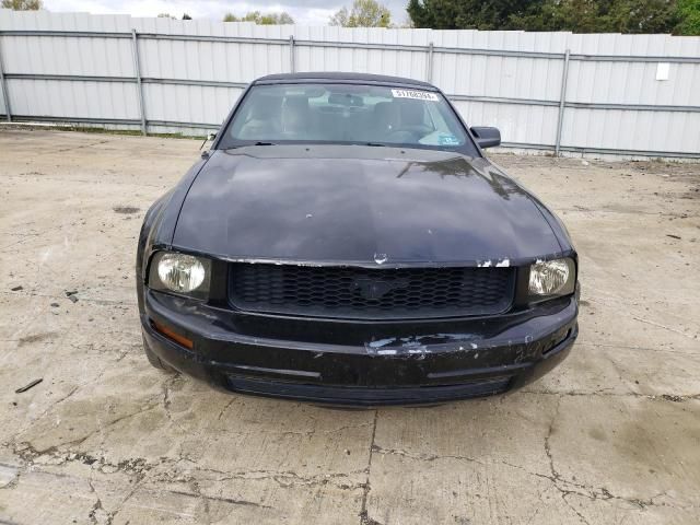 2005 Ford Mustang