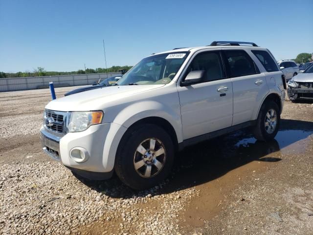 2011 Ford Escape Limited