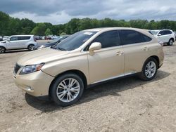 2010 Lexus RX 450 for sale in Conway, AR