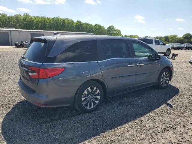 2024 Honda Odyssey EXL