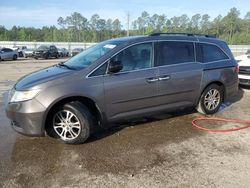 Honda Odyssey exl Vehiculos salvage en venta: 2012 Honda Odyssey EXL