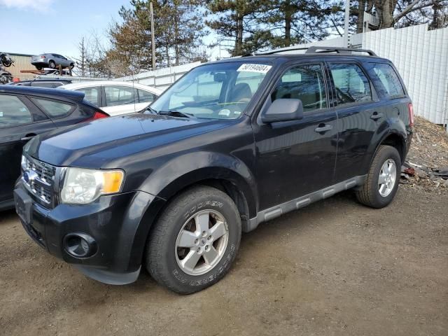 2011 Ford Escape XLS