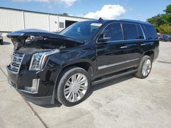 Salvage cars for sale from Copart Gaston, SC: 2020 Cadillac Escalade Platinum