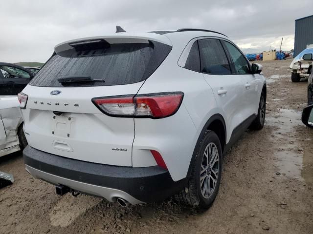 2020 Ford Escape SEL