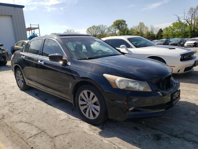 2011 Honda Accord EXL