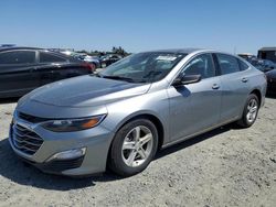 Chevrolet salvage cars for sale: 2023 Chevrolet Malibu LS