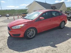 Ford Focus se salvage cars for sale: 2017 Ford Focus SE