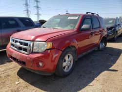 2010 Ford Escape XLT for sale in Elgin, IL
