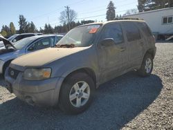 Salvage cars for sale from Copart Graham, WA: 2007 Ford Escape HEV