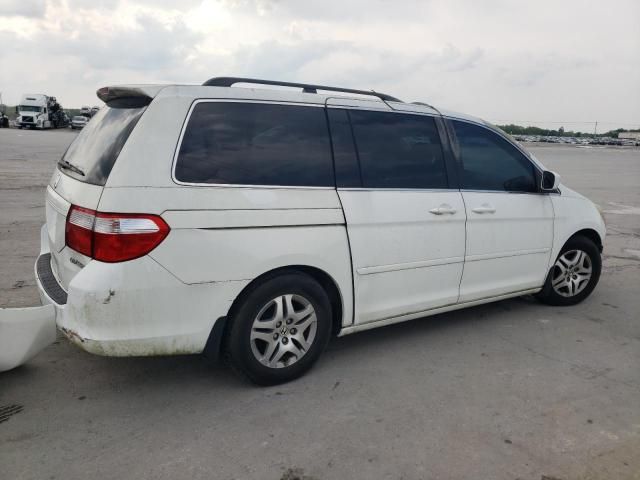 2005 Honda Odyssey EXL