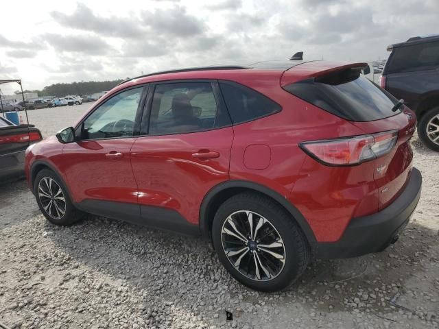 2021 Ford Escape SE