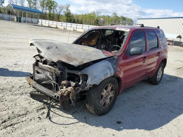 2007 Ford Escape Limited