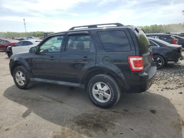 2011 Ford Escape XLT