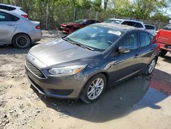 2016 Ford Focus SE for sale in Cicero, IN