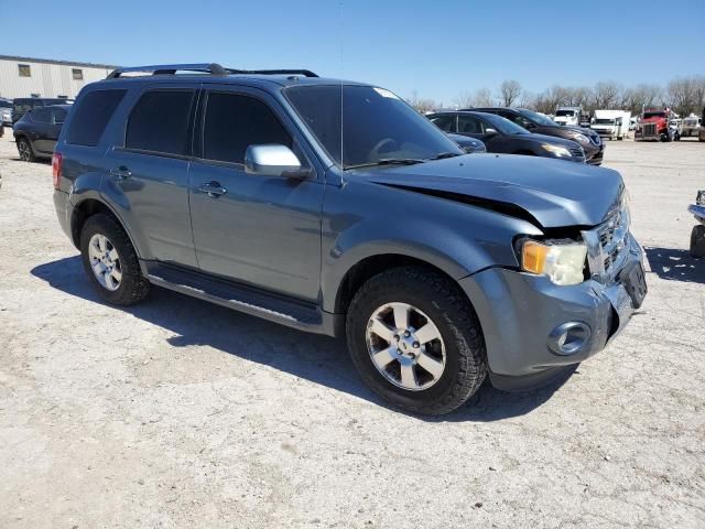 2011 Ford Escape Limited