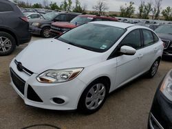 Ford salvage cars for sale: 2013 Ford Focus SE