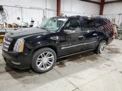 Cadillac Escalade salvage cars for sale: 2014 Cadillac Escalade ESV Platinum