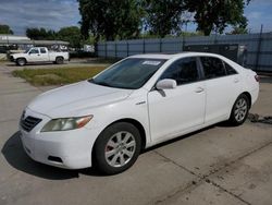 Toyota Camry salvage cars for sale: 2008 Toyota Camry Hybrid