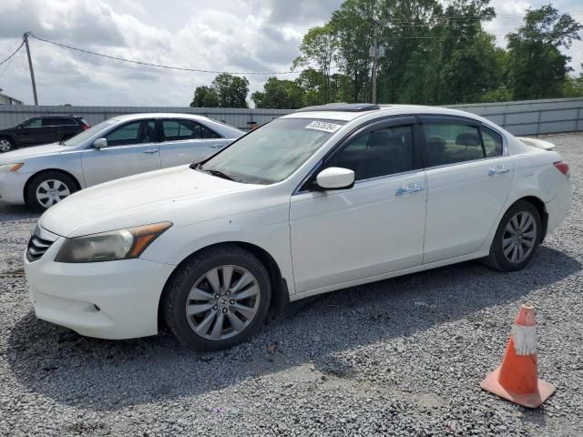 2011 Honda Accord EXL