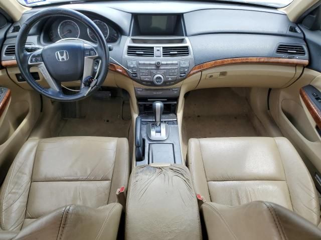 2011 Honda Accord EXL