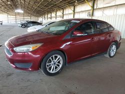 Ford Focus salvage cars for sale: 2016 Ford Focus SE