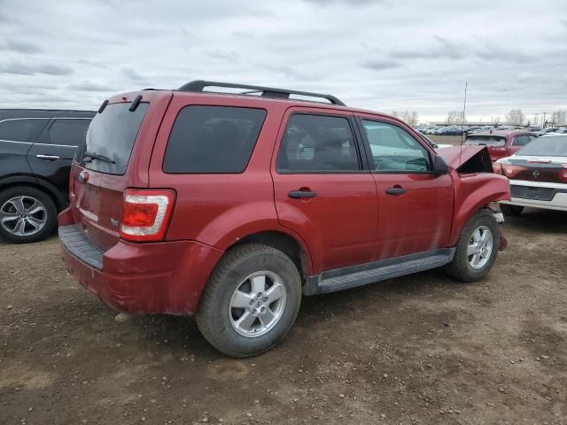 2012 Ford Escape XLT