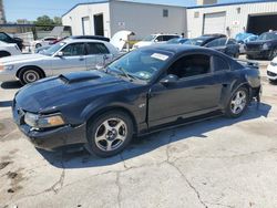 Vehiculos salvage en venta de Copart New Orleans, LA: 2001 Ford Mustang GT