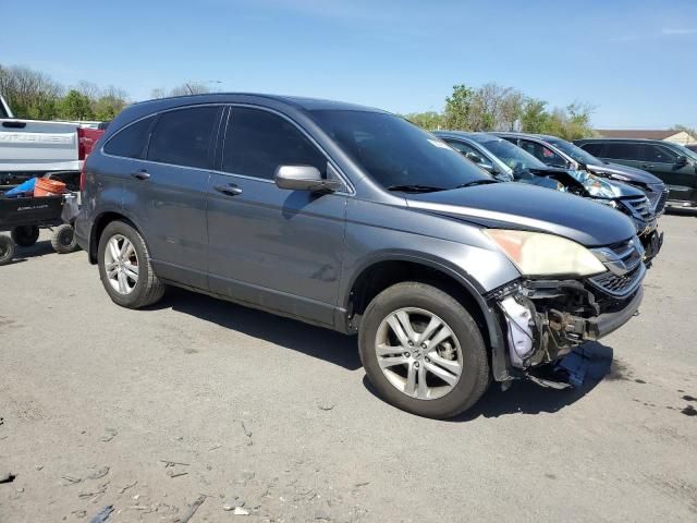 2010 Honda CR-V EXL