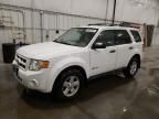 2009 Ford Escape Hybrid